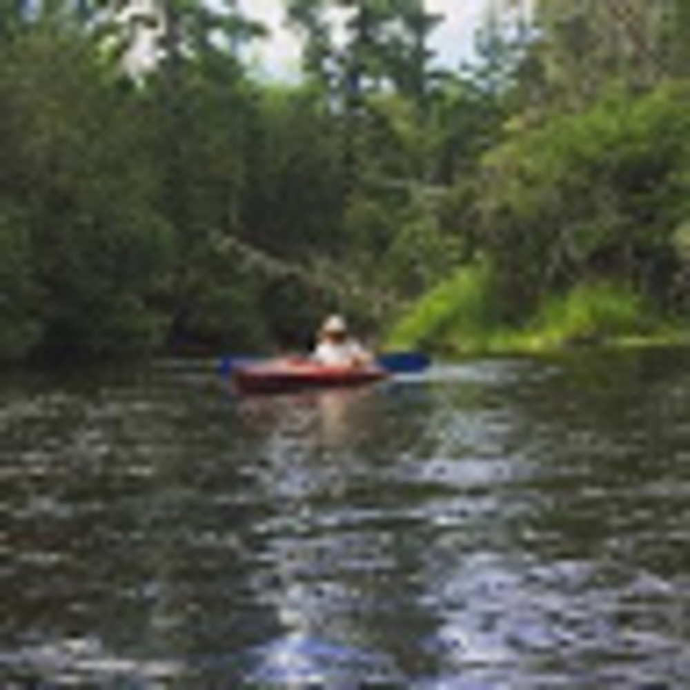 Meet your Posher, Milo